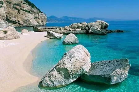 Dacapo Tortoli