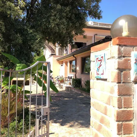 Dacapo Tortoli